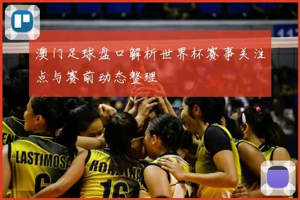 澳门足球盘口解析世界杯赛事关注点与赛前动态整理